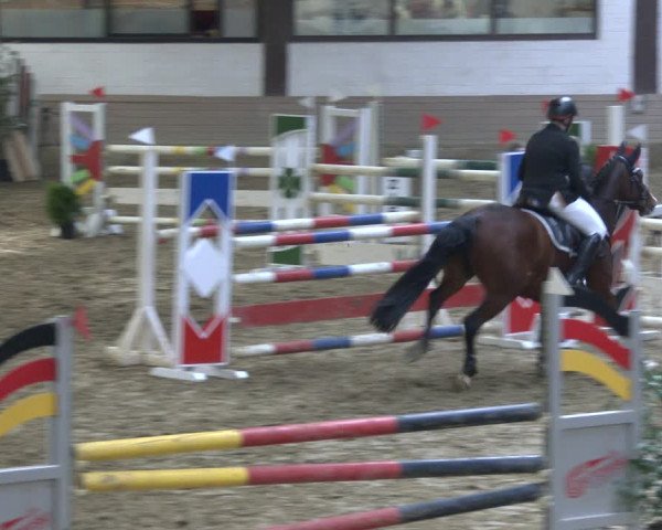 Reitturnier Vlotho-Valdorf 2019