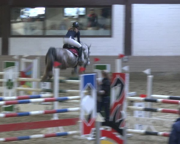 Reitturnier Vlotho-Valdorf 2019