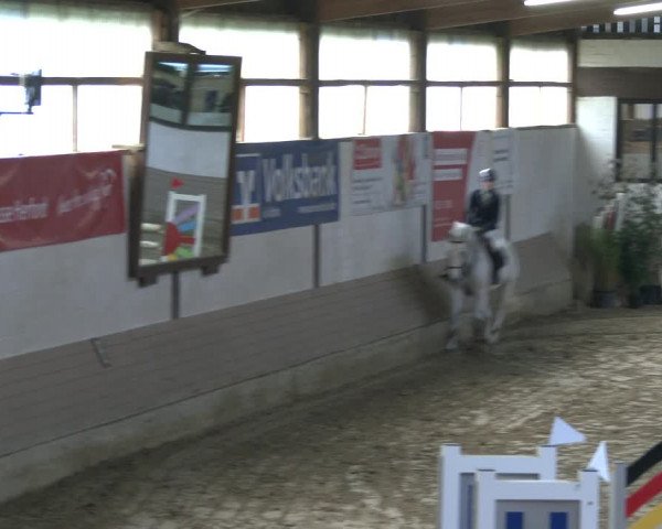 Reitturnier Vlotho-Valdorf 2019