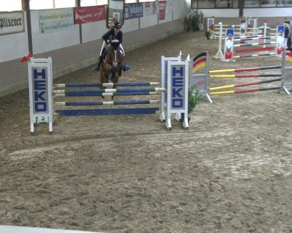 Reitturnier Vlotho-Valdorf 2019