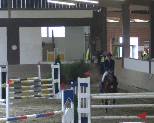 Reitturnier Vlotho-Valdorf 2019