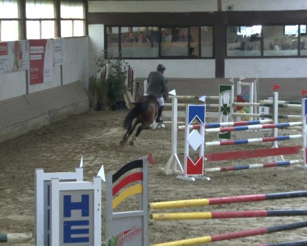Reitturnier Vlotho-Valdorf 2019