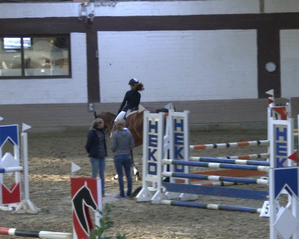 Reitturnier Vlotho-Valdorf 2019
