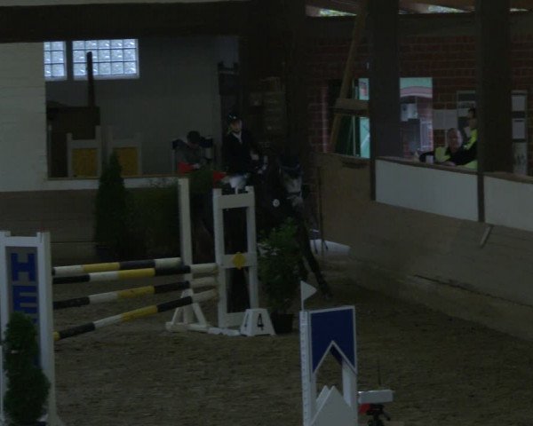 Reitturnier Vlotho-Valdorf 2019