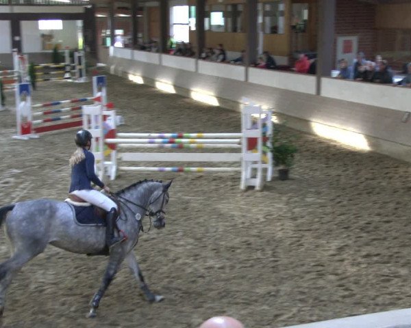 Reitturnier Vlotho-Valdorf 2019