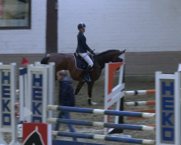Reitturnier Vlotho-Valdorf 2019