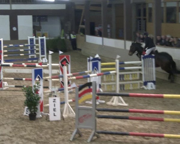 Reitturnier Vlotho-Valdorf 2019