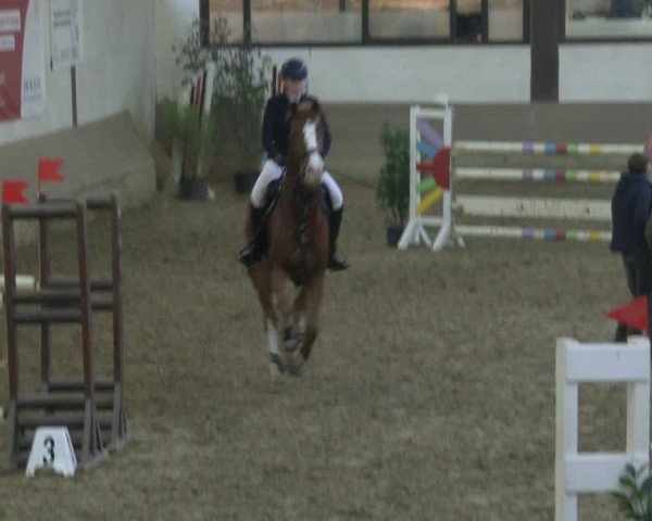 Reitturnier Vlotho-Valdorf 2019