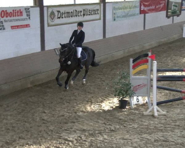 Reitturnier Vlotho-Valdorf 2019