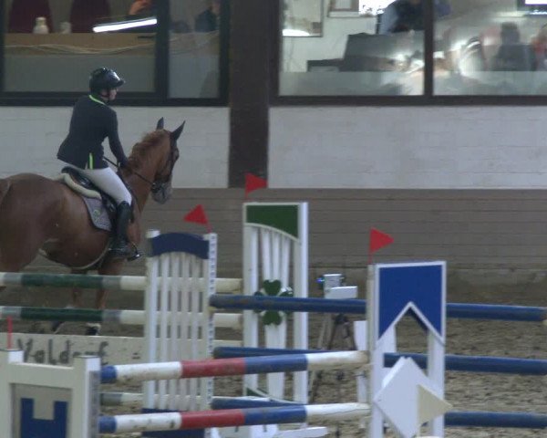 Reitturnier Vlotho-Valdorf 2019
