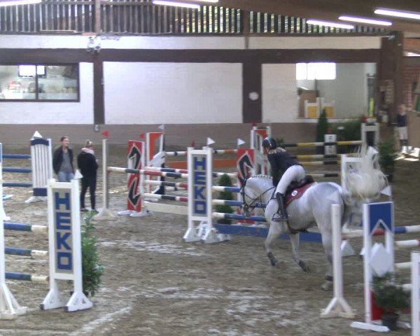 Reitturnier Vlotho-Valdorf 2019