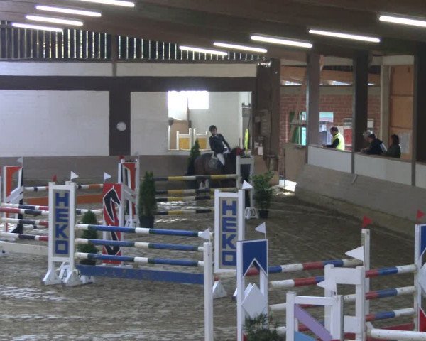 Reitturnier Vlotho-Valdorf 2019