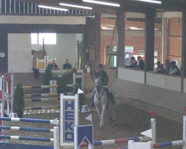 Reitturnier Vlotho-Valdorf 2019