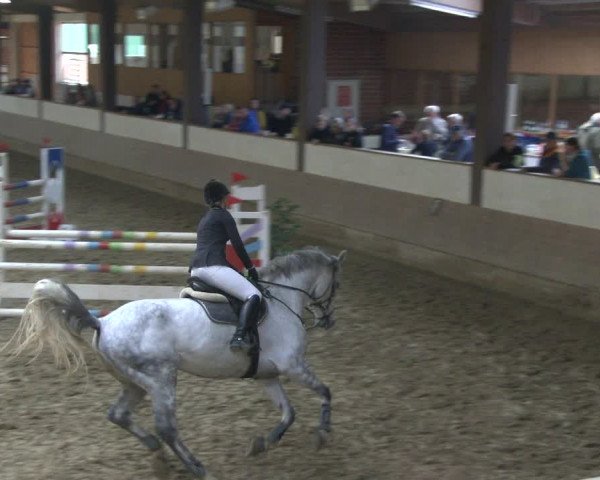 Reitturnier Vlotho-Valdorf 2019