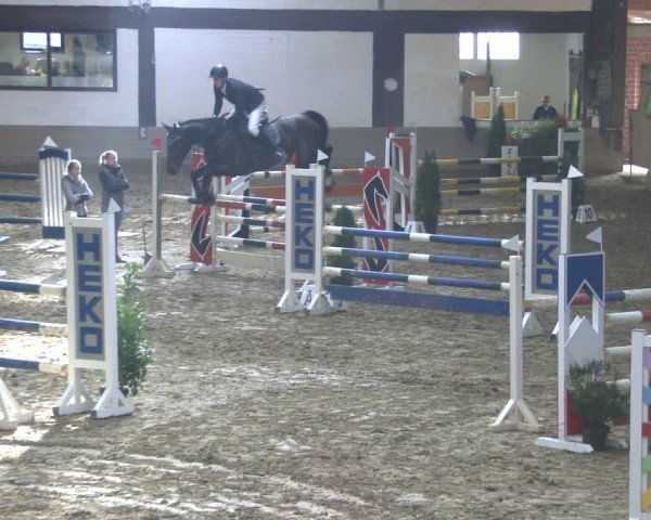 Reitturnier Vlotho-Valdorf 2019