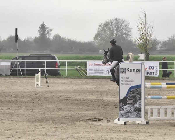 Reitturnier Langenau 2019