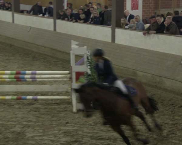 Reitturnier Vlotho-Valdorf 2019