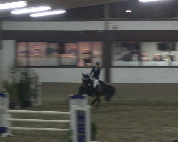 Reitturnier Vlotho-Valdorf 2019
