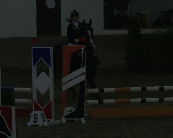 Reitturnier Vlotho-Valdorf 2019