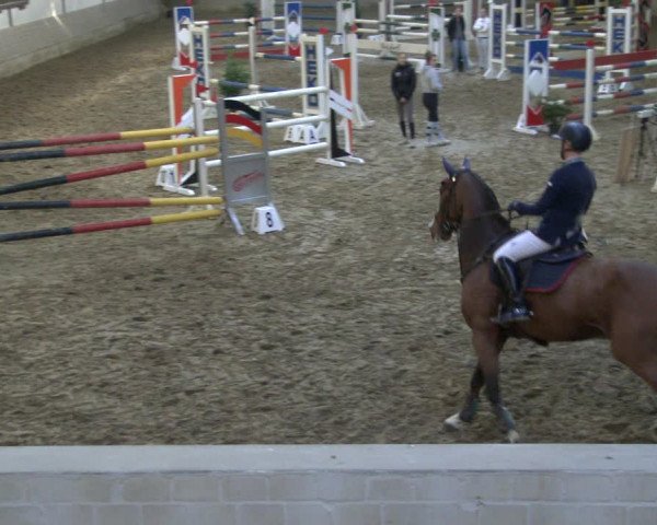 Reitturnier Vlotho-Valdorf 2019