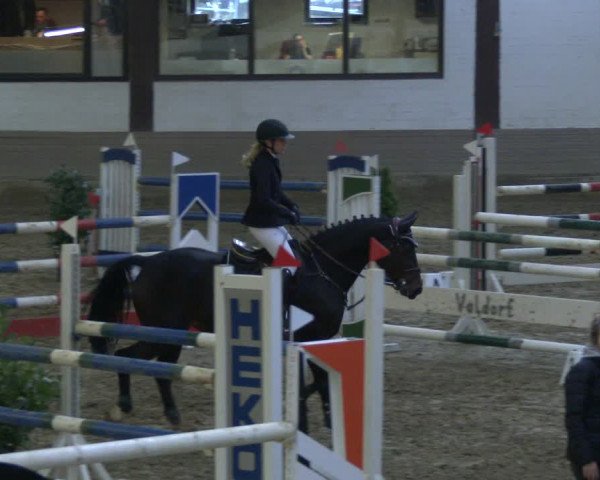 Reitturnier Vlotho-Valdorf 2019