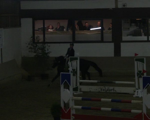Reitturnier Vlotho-Valdorf 2019