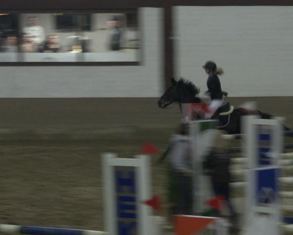 Reitturnier Vlotho-Valdorf 2019