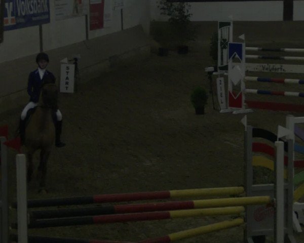 Reitturnier Vlotho-Valdorf 2019