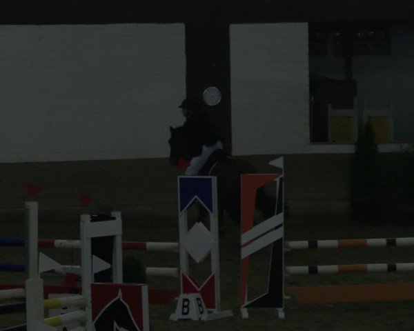 Reitturnier Vlotho-Valdorf 2019