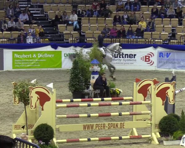 Reitturnier Neumünster 2019