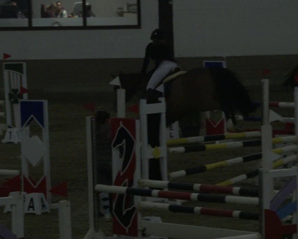Reitturnier Vlotho-Valdorf 2019