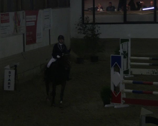 Reitturnier Vlotho-Valdorf 2019