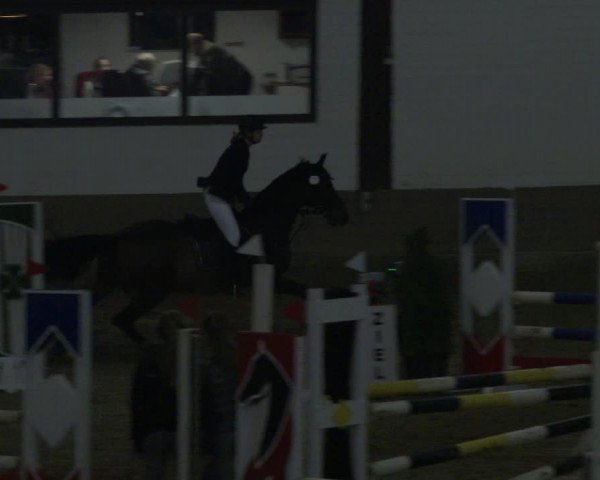 Reitturnier Vlotho-Valdorf 2019