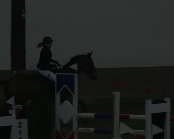 Reitturnier Vlotho-Valdorf 2019