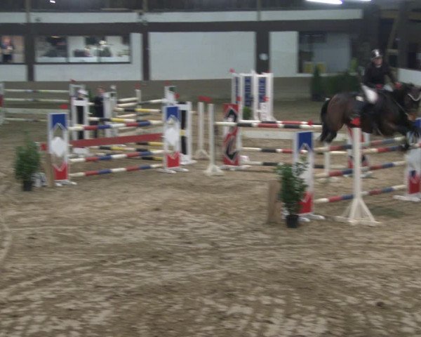 Reitturnier Vlotho-Valdorf 2019