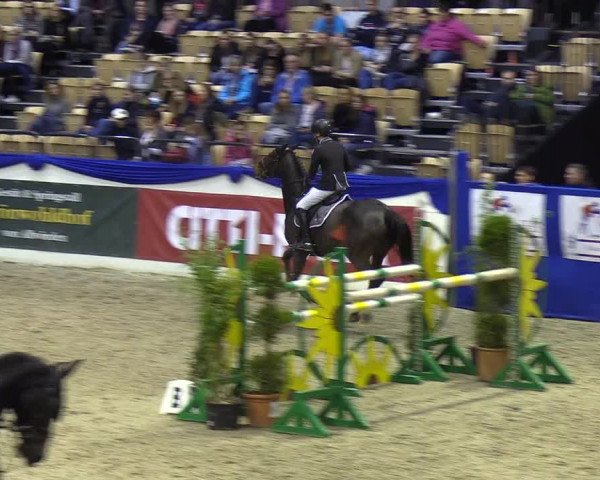 Reitturnier Neumünster 2019