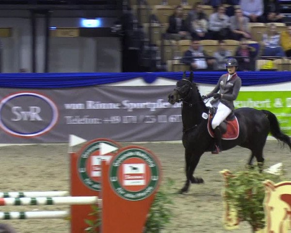 Reitturnier Neumünster 2019