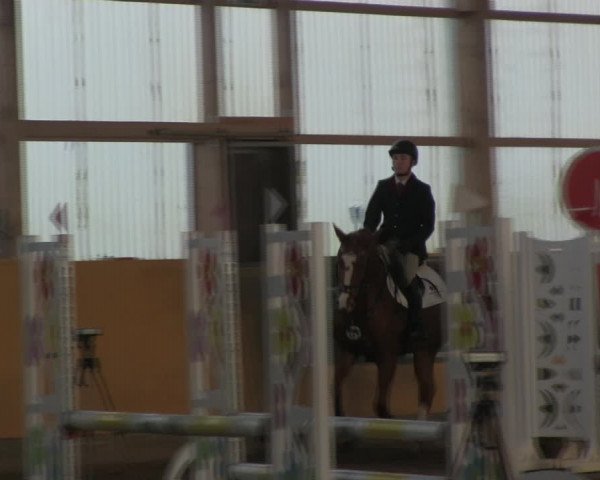 Reitturnier Pausin 2019