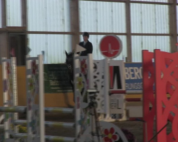 Reitturnier Pausin 2019