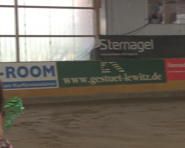 Reitturnier Pausin 2019