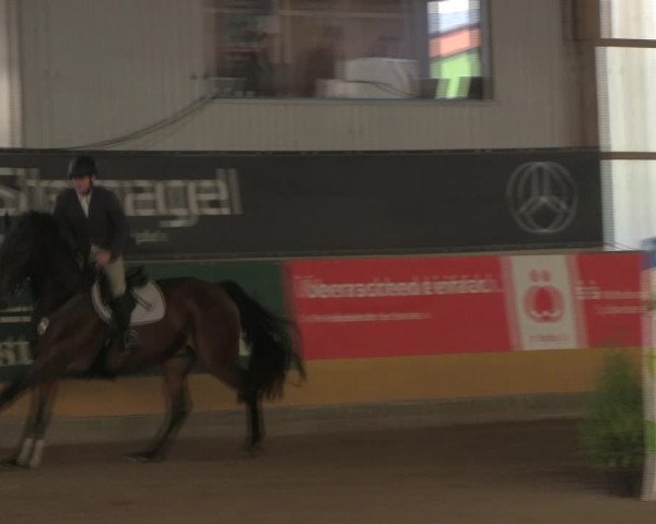 Reitturnier Pausin 2019