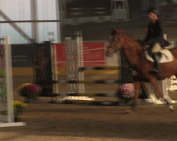 Reitturnier Pausin 2019