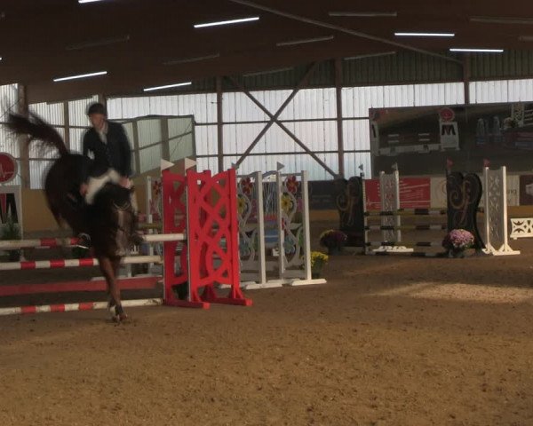 Rideturnering Pausin 2019