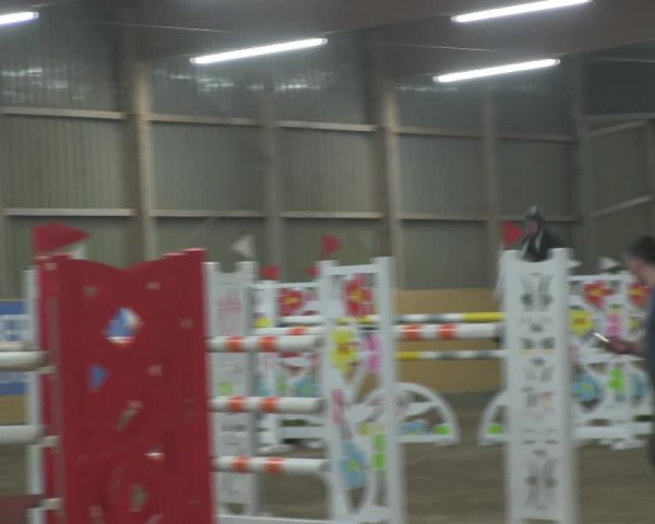 Reitturnier Pausin 2019