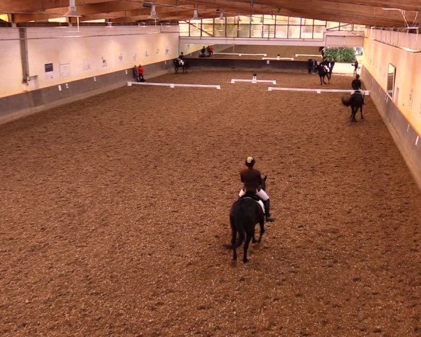 Reitturnier Dallgow 2019