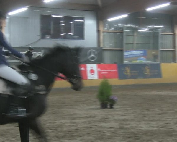 Reitturnier Pausin 2019