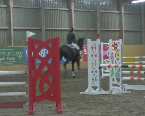 Reitturnier Pausin 2019