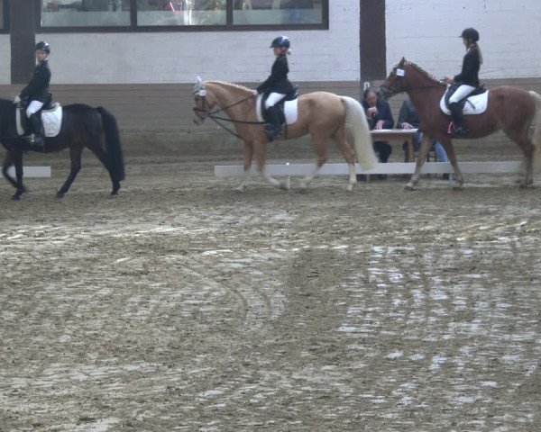 Reitturnier Vlotho-Valdorf 2019
