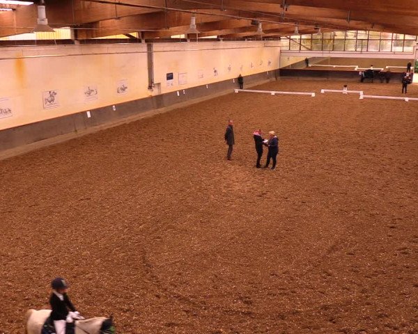 Reitturnier Dallgow 2019