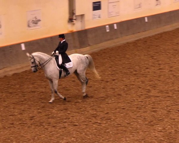 Reitturnier Dallgow 2019